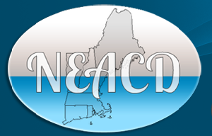 Logo for the New England Academy of Cosmetic Dentistry